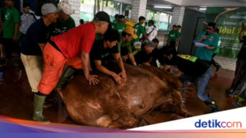 Wajib Tahu! 5 Syarat Penyembelih Hewan Kurban Menurut Syariat
