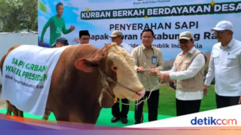 Wapres Gibran Sumbang Sapi Kurban 916 Kg ke Baznas, Disembelih di Tangerang