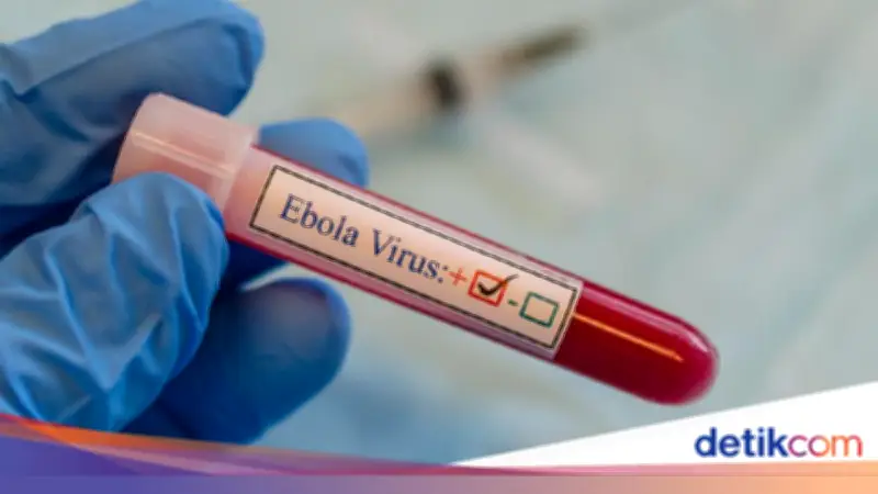 Warga AS Tertular Ebola di Kongo, Skrining Bandara Diperketat