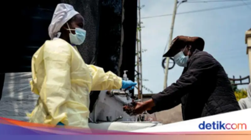 WHO Nyatakan Wabah Ebola Darurat Global, 131 Tewas di Kongo