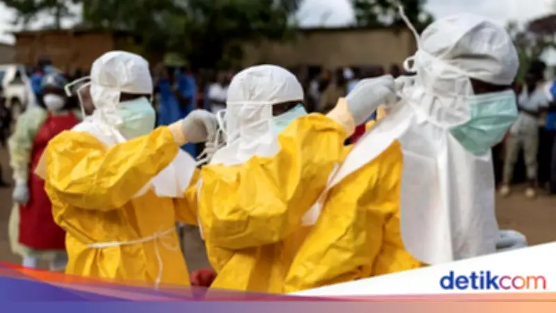 WHO Tetapkan Wabah Ebola di Kongo sebagai Darurat Kesehatan Global