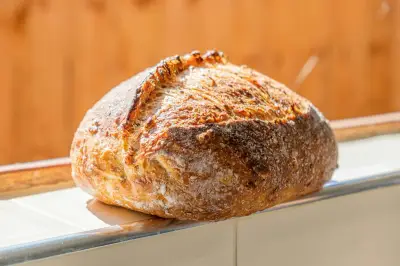 Apa Itu Sourdough? Roti Fermentasi Alami yang Kian Populer