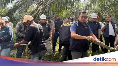Bareskrim Kirim Tim ke Jambi Usut Penyebab Listrik Padam Berjam-jam di Sumatera