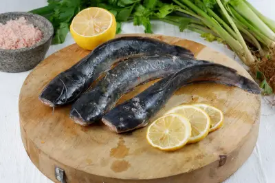 Hoaks! Konsumsi Ikan Lele Tidak Sebabkan Gagal Ginjal