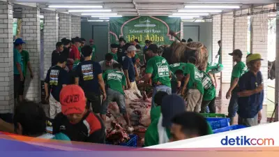 Istiqlal Tak Bagikan Daging Kurban Langsung, Disalurkan via Lembaga Terdata