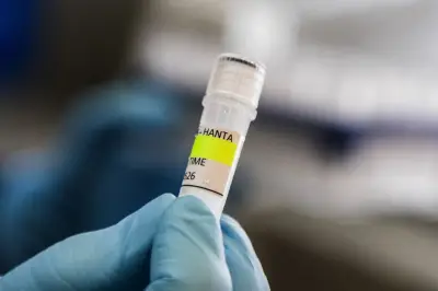 Kasus Hantavirus Terdeteksi di Jakarta, Dinkes Lakukan Mitigasi