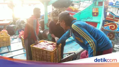 KKP Sambut Perpres ILO 188, Langkah Konkret Lindungi Awak Kapal Ikan
