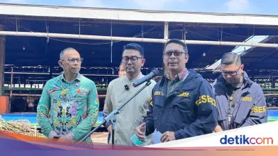 Polda Metro Jaya Ancam Pidana Pedagang Sapi Gelonggongan