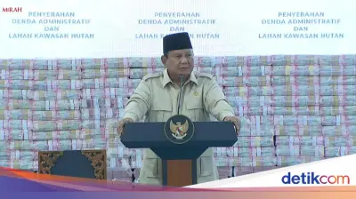 Prabowo Jengkel Urus Izin Rumit: Negara Lain 2 Minggu, Indonesia 2 Tahun