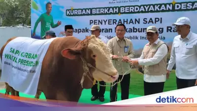 Wapres Gibran Sumbang Sapi Kurban 916 Kg ke Baznas, Disembelih di Tangerang