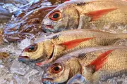 3 Cara Bersihkan Ikan Agar Tak Amis Tanpa Lemon, Pakai Bahan Dapur