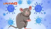 3 Kasus Hantavirus di Jakarta, 6 Suspek Masih Dipantau Dinkes