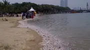 Ancol Gratis Saat HUT ke-499 Jakarta, Catat Waktu dan Syaratnya