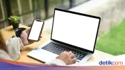 Cara Dapat Sertifikasi Kompetensi Usai Lulus Magang Nasional 2026