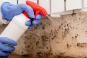 Cara Hilangkan Jamur di Plafon Kamar Mandi dengan Bahan Rumahan