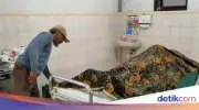 Duel Carok Tetangga di Lumajang, 1 Tewas dan 1 Luka Berat