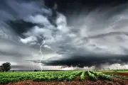 El Nino 2026 Ancam Stabilitas Ekonomi dan Pangan Global