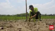 Enam Kabupaten di Jawa Timur Tetapkan Status Darurat Kekeringan