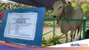Gerindra: 1.098 Sapi Kurban Presiden dari APBN Tak Langgar Aturan
