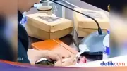 Gerindra Panggil Anggota DPRD Jember yang Main Game dan Merokok Saat Rapat