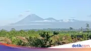 Gunung Semeru Erupsi Empat Kali Pagi Ini, Kolom Abu Capai 1.000 Meter