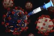 Hoaks: Hantavirus Disebut Efek Samping Vaksin Pfizer