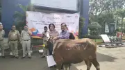 Iduladha 2026, Emtek Salurkan 10 Sapi dan 59 Kambing untuk Masyarakat