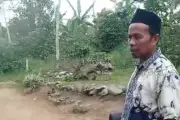 Isu PHK 2027 Resahkan Guru Honorer, Pengangkatan ASN Jangan Cuma Wacana
