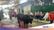 Masjid Raya Pondok Indah Terima 10 Sapi dan 35 Kambing