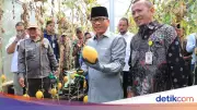 Mendes PDT Puji Desa Tuntang Sukses Kelola Dana Desa Capai Rp 1,6 M