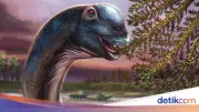 Nagatitan, Dinosaurus Raksasa Baru Ditemukan di Thailand