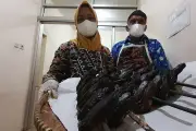 Nikmatnya Mangut Lele Asap Khas Kulon Progo, Gurih dengan Aroma Khas
