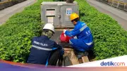 Paljaya Siap Kelola Operasional dan Perawatan IPAL Gedung Kantor di Jakarta
