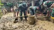 Pemerintah Kucurkan Rp877 Miliar untuk Rehabilitasi 94.742 Hektare Sawah di Sumatera