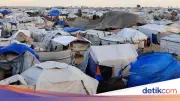 Penyakit Kulit Ancam Warga Gaza di Kamp Pengungsa saat Musim Panas