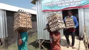 Polda Metro Jaya Bina Peternak Ayam, Pasok 3.000 Telur ke SPPG Bekasi