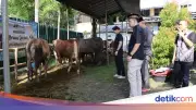 Polres Kepulauan Seribu Salurkan 58 Hewan Kurban ke Warga Pulau