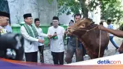 PPP Gelar Kurban Serentak Nasional, Salurkan Lebih dari 100 Hewan