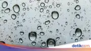 Prakiraan Cuaca RI Besok 20 Mei Saat Harkitnas, Dominan Berawan-Hujan Ringan