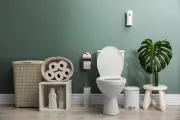 Rahasia Bersihkan Toilet Pakai Es Batu, Ini Caranya