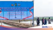 Rantai Pasok SPPG Diperkuat, Polda Metro Tebar 300 Ribu Benih Udang