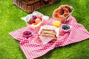 Tips Aman Bawa Makanan Saat Piknik, Hindari Basi