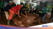 Wajib Tahu! 5 Syarat Penyembelih Hewan Kurban Menurut Syariat