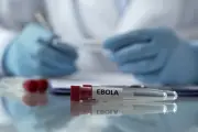 WHO Deklarasikan Darurat Global Akibat Wabah Ebola di Kongo dan Uganda