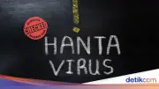 WN Prancis Bergejala Hantavirus saat Dipulangkan dari Kapal MV Hondius