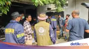 WNA Terlibat Penyelundupan Satwa, 11 Sanca Hijau Papua Disita di Bekasi
