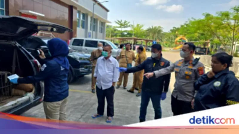 Anjing Pemburu Serang Bocah Hingga Tewas di Bogor, Pemilik Diperiksa