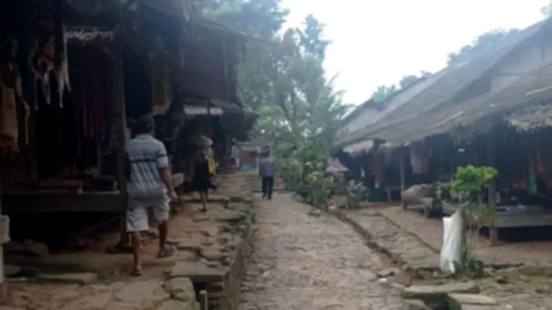 Babi Hutan dan Monyet Rusak 5 Hektare Ladang Petani Badui di Lebak