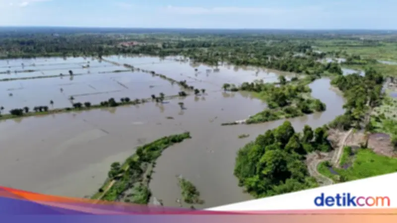 Banjir Rendam 7 Kecamatan di Lutra: 12 Ribu Warga Terdampak, Ratusan Mengungsi
