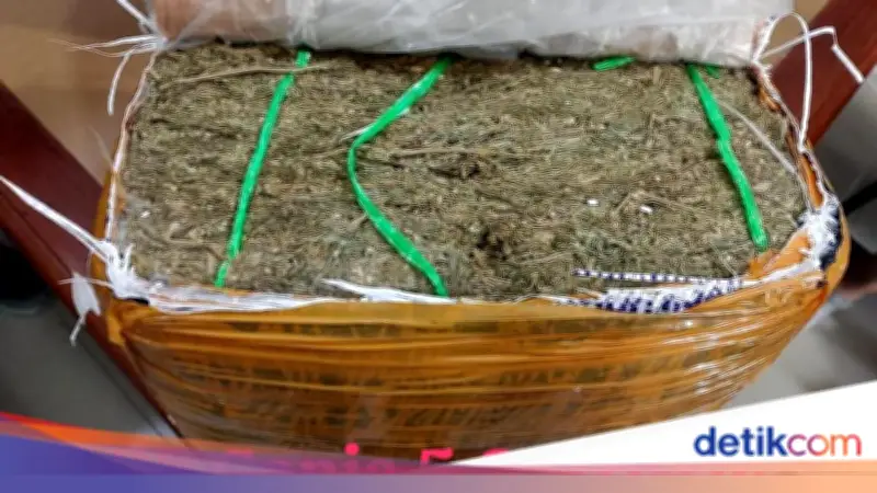 Bareskrim Gagalkan Pengiriman 5,8 Kg Ganja di Jatim, Tiga Tersangka Ditangkap